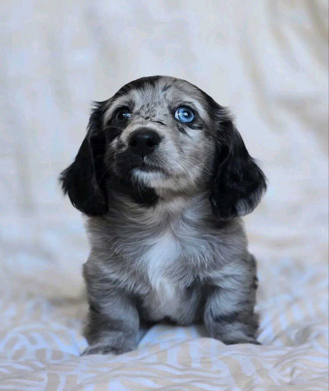 auto draft auto draft