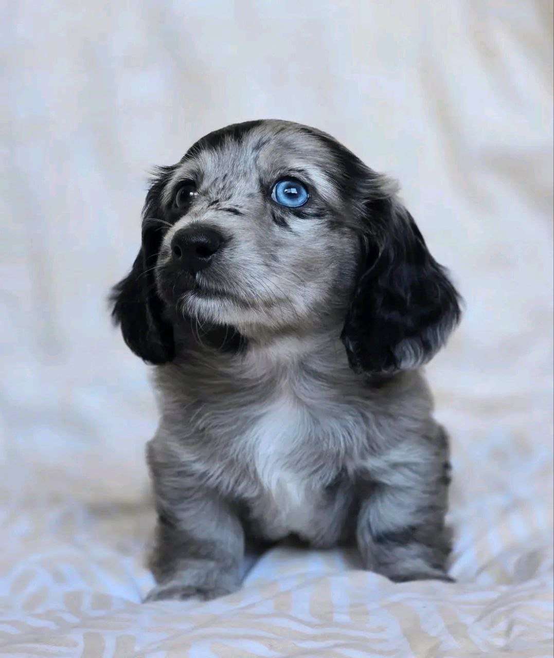 auto draft auto draft