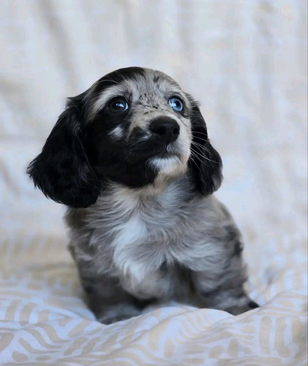 auto draft auto draft